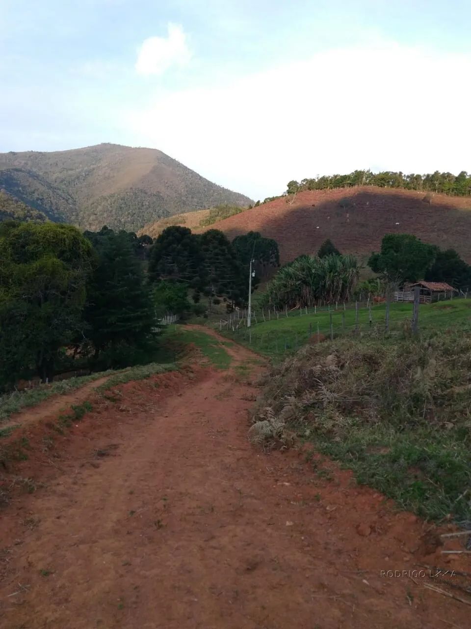 Sítio para venda em Carvalhos MG - Foto 4