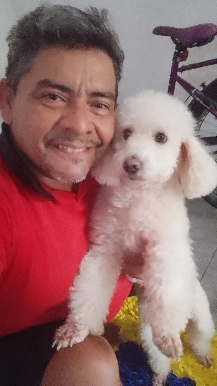 Serviço de banho e tosa 