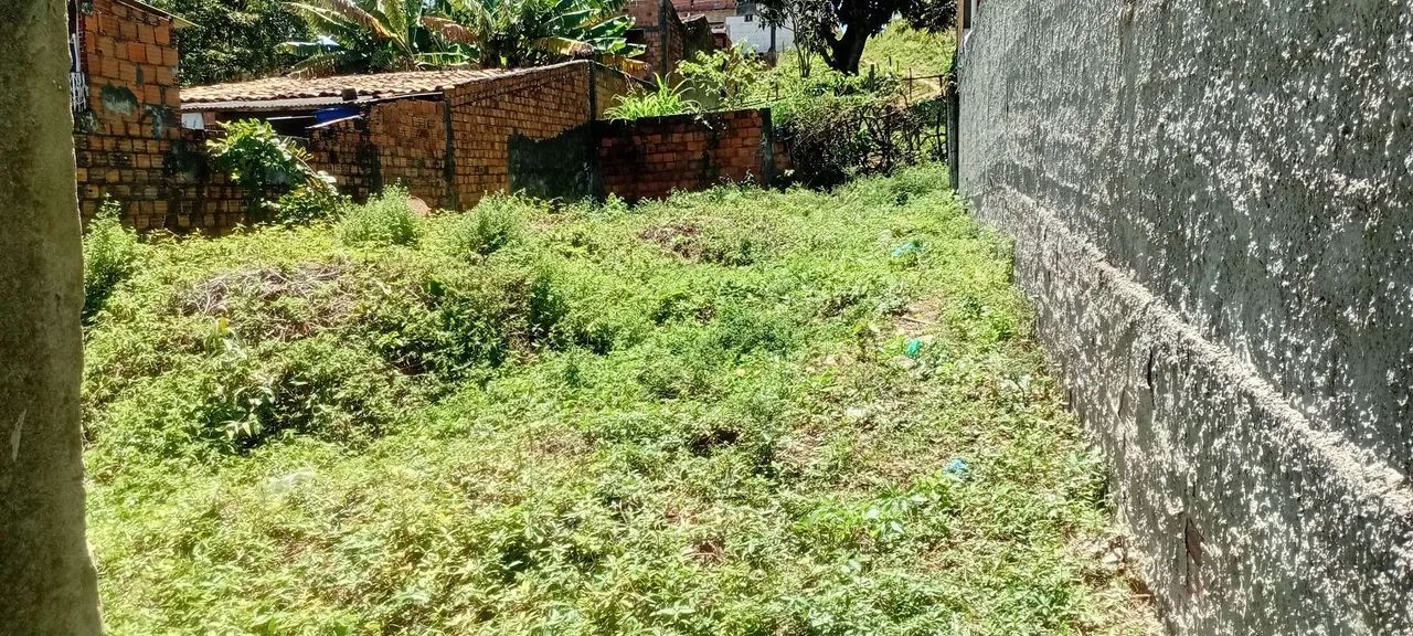 Terreno  - Foto 2