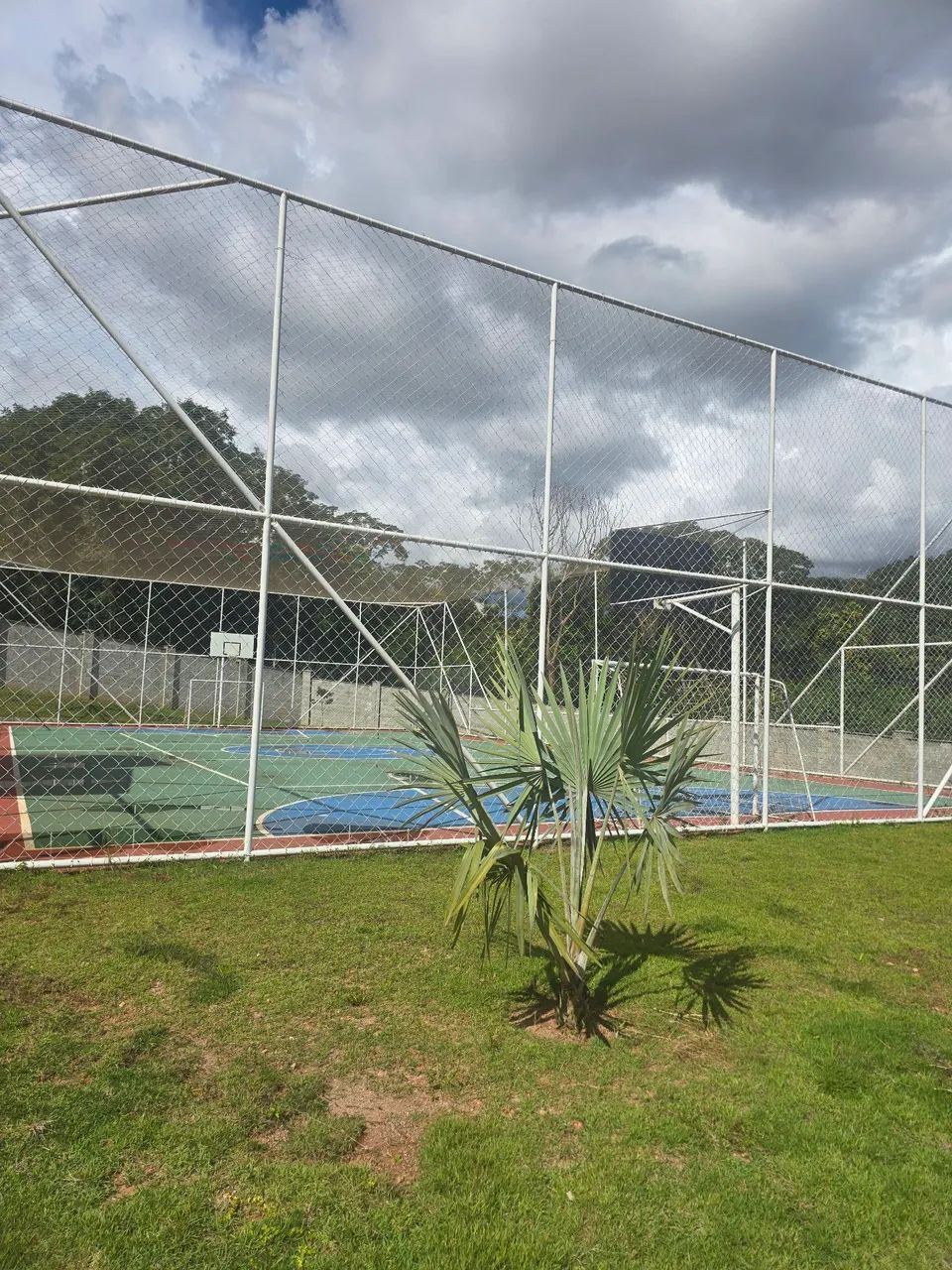 Lote Condomínio Reserva BR 153 - Foto 5