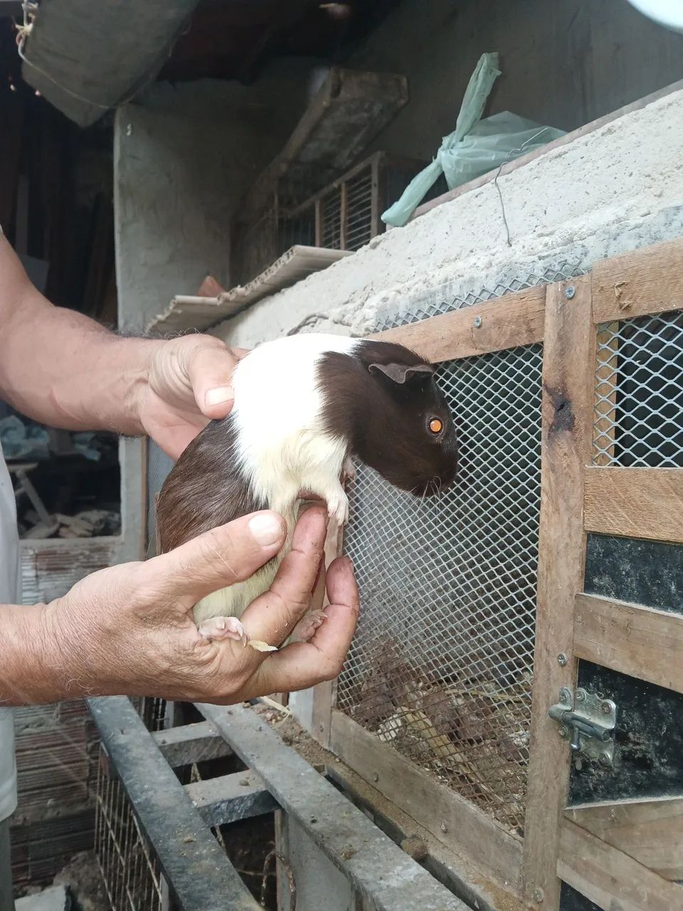 Venda ou troca 