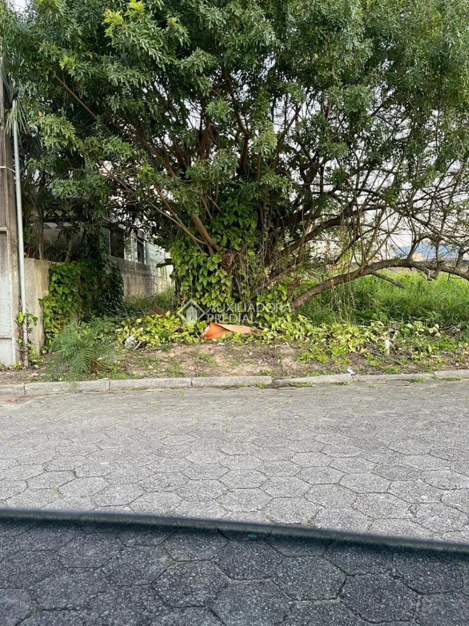 Oportunidade no Carianos: Terreno com 720 m² - Foto 5
