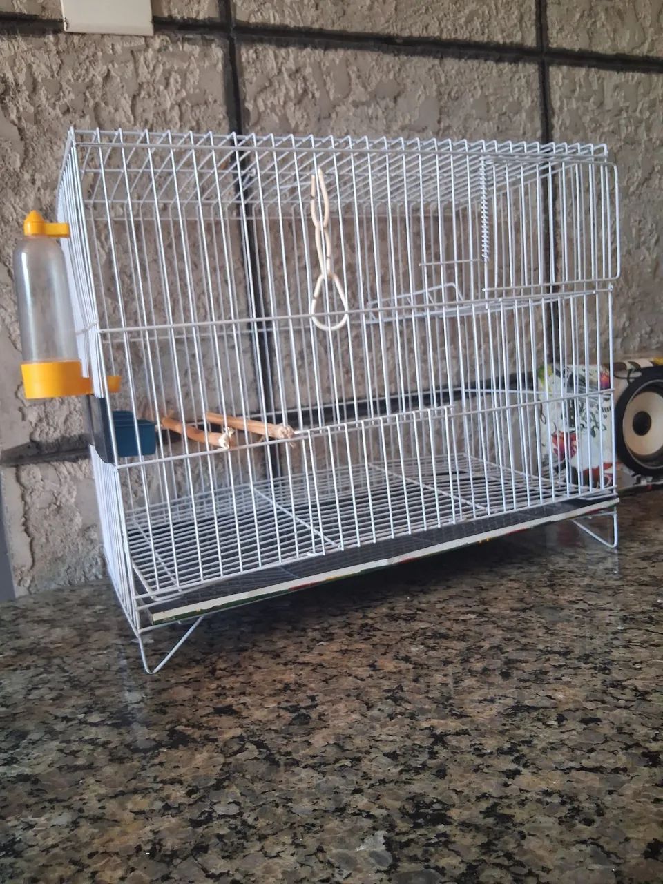 GAIOLA  - Foto 4