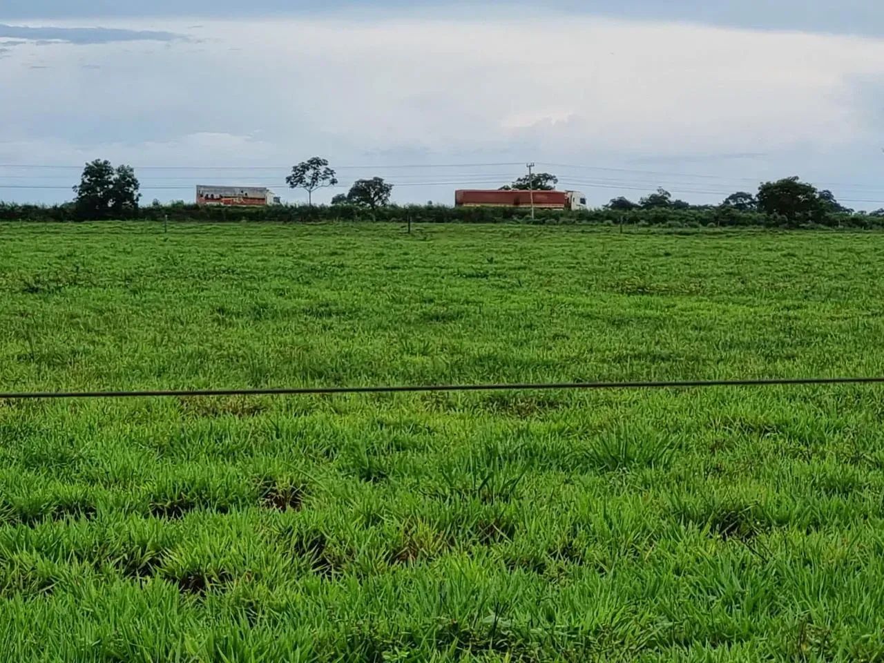 Fazenda dupla aptidão Olho D'água. Próximo Cuiabá - Foto 5