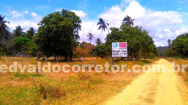 Lotes Parcelado - Ilha de Santa Rita 5mim de Maceió - Foto 3