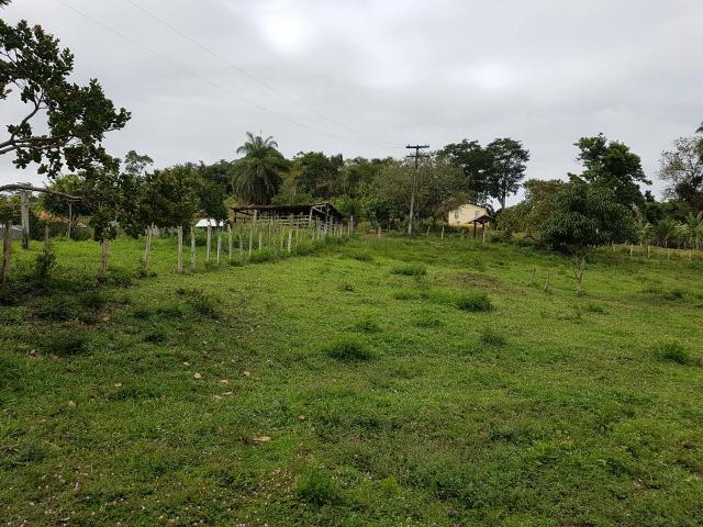 FZ 037- Fazenda Próximo a Ipiaú ? BA com 30 hectares. - Foto 7