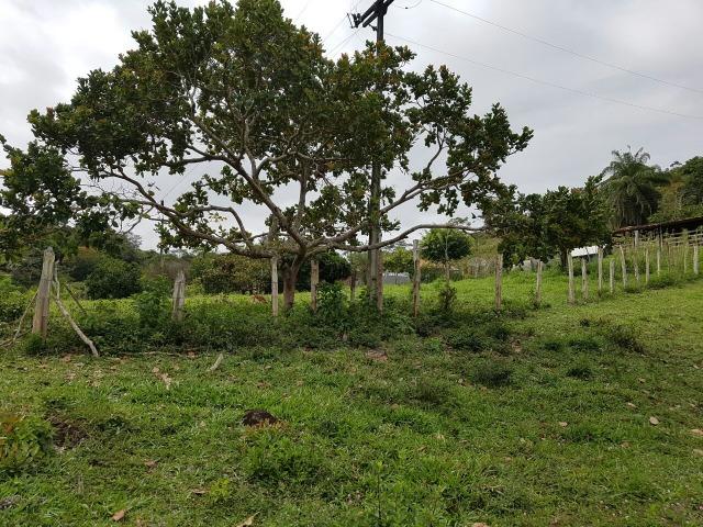 FZ 037- Fazenda Próximo a Ipiaú ? BA com 30 hectares. - Foto 14