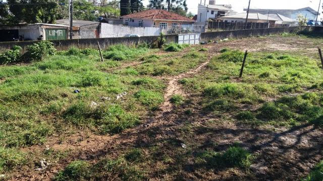Lindo Terreno no Bairro Ipiranga - Foto 2