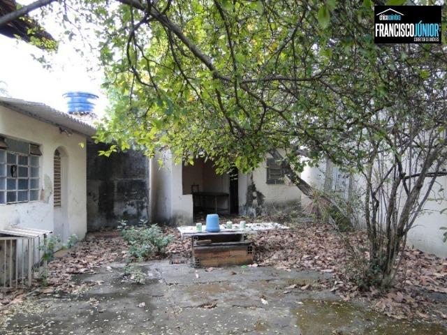 Casa no Setor Coimbra, 4 quartos, nascente e com ótima localização comercial e residencial - Foto 13