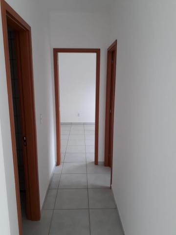 Apartamento para alugar com 2 dormitórios em Vila maria luiza, Ribeirão preto cod:13407 - Foto 12