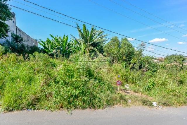 Terreno à venda em Gralha azul, Fazenda rio grande cod:151562 - Foto 16