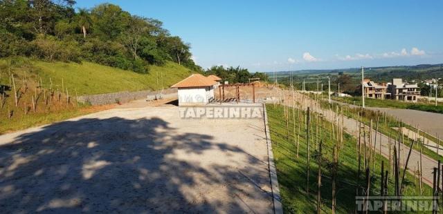 Terreno à venda em Tomazetti, Santa maria cod:10806 - Foto 11