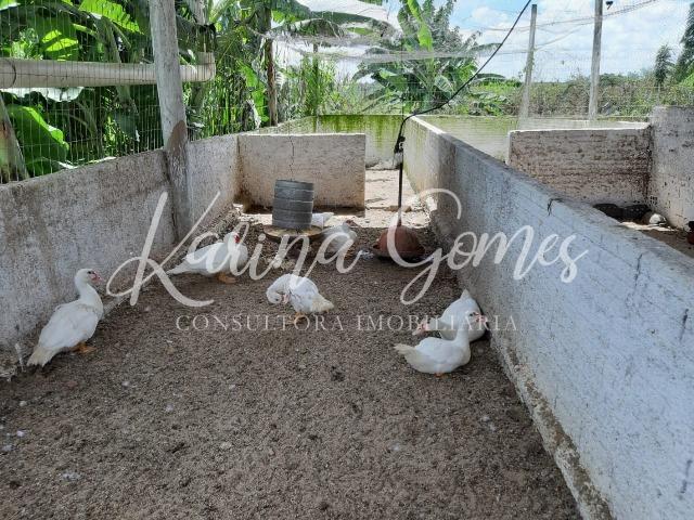 Lote - Fazenda Real III - Foto 17
