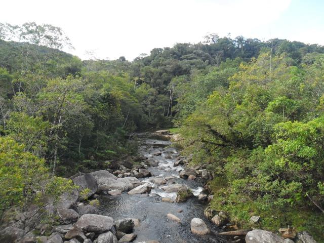 Área com mata para reserva legal - Foto 4