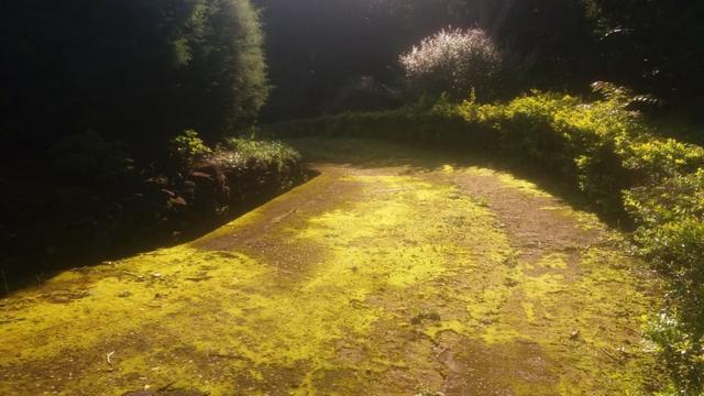 Lindo Sítio no Bairro Palmares em Paty do Alferes - Foto 18