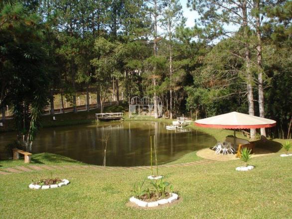 Chácara à venda em Miringuava, São josé dos pinhais cod:12972.001 - Foto 3