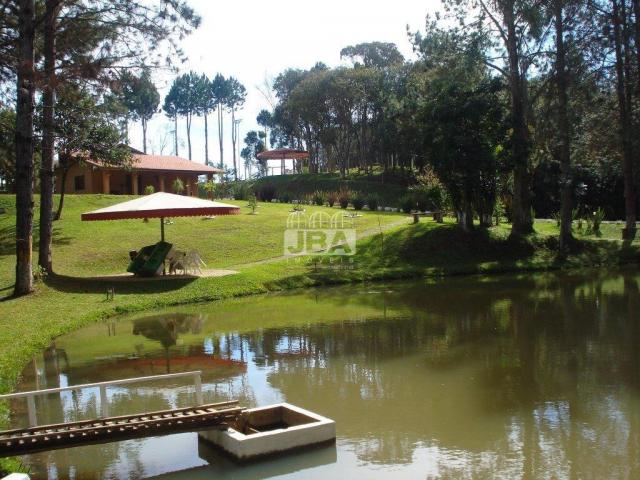 Chácara à venda em Miringuava, São josé dos pinhais cod:12972.001 - Foto 4