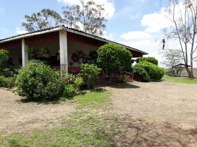 Sítio em Chã Grande, com 10 hectares. Casa sede c/4 qts, sendo 3 suítes, - Foto 2