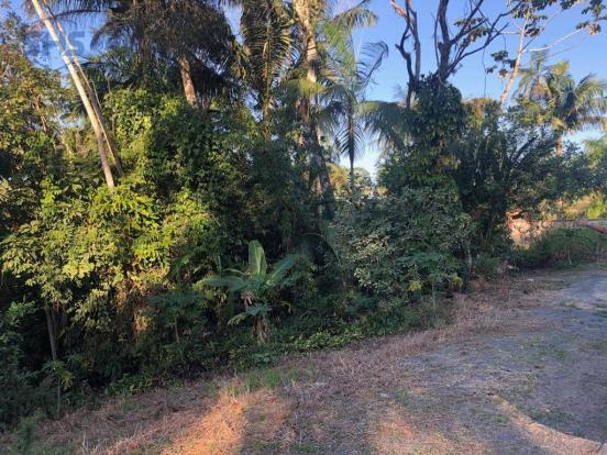 Terreno à venda, 600 m² por r$ 350.000 - bom retiro - blumenau/sc - Foto 3