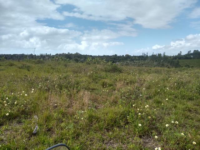 Vende-se terreno próximo a Prado - Foto 14