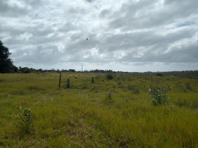 Vende-se terreno próximo a Prado - Foto 3