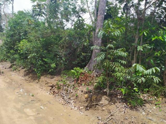 Terreno à venda Trancoso, Bahia - Foto 4