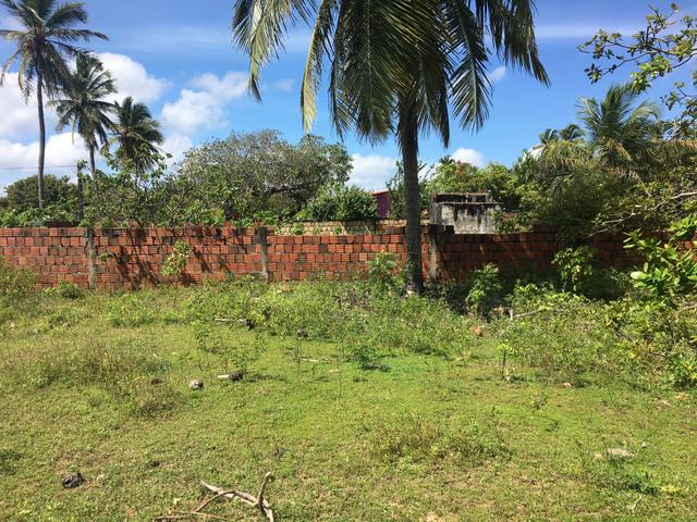 Terreno na praia próximo de Barra grande - Foto 3
