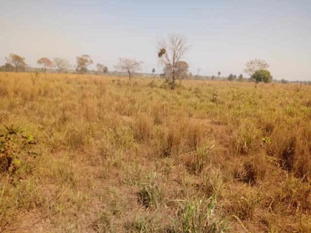 Fazenda há 10 km de Livramento com piscina, muito pasto, represas e lago - Foto 14