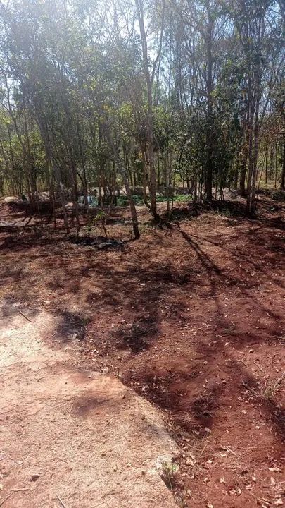 Sítio no Prata/Mg - Foto 4