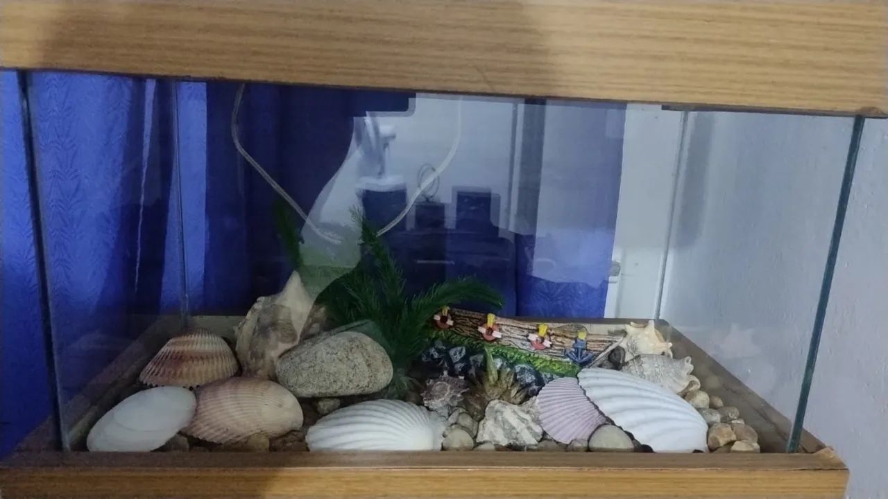 Vendo um aquário completo conbonba  - Foto 2