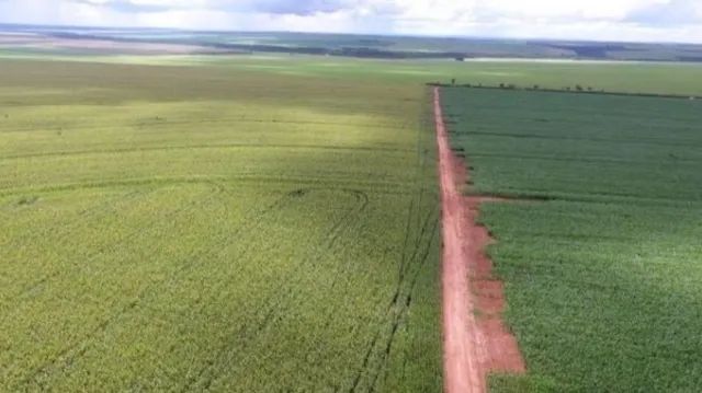 Fazenda 3.740 ha General Carneiro-MT - Foto 4