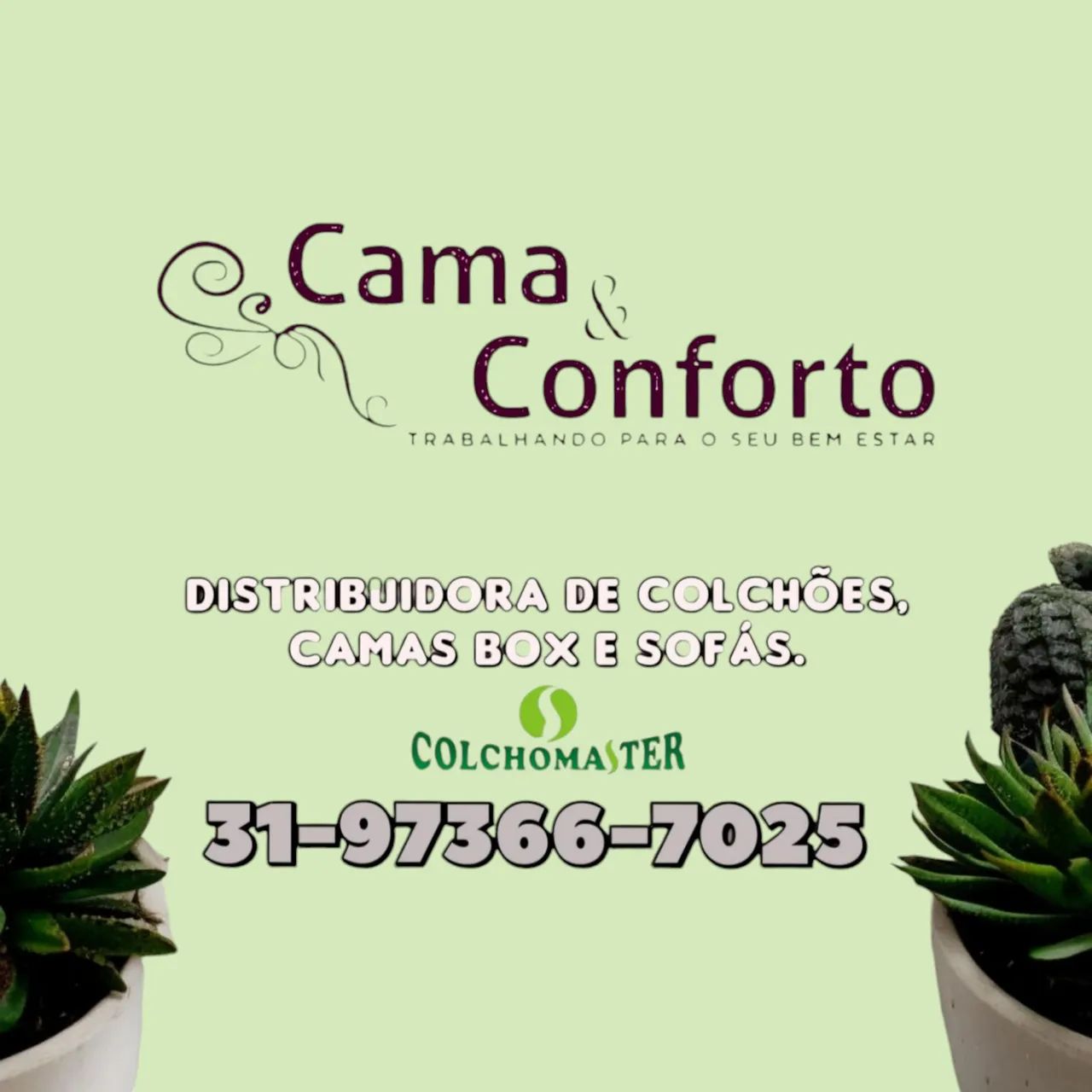 CAMA CASAL MOLAS / NOVAS / MODELO 2409270901 - Foto 2