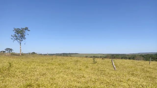 CHÁCARA A VENDA  2.000 MTS ANÁPOLIS GO !DIRETO COM PROPRIETÁRIO! - Foto 6