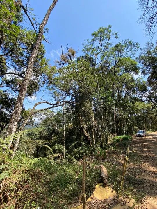 OPORTUNIDADE! Terreno em Monte Verde 3.700m - Foto 4