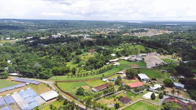 CHÁCARA 9.500M²  TARUMÃ MANAUS - Foto 4