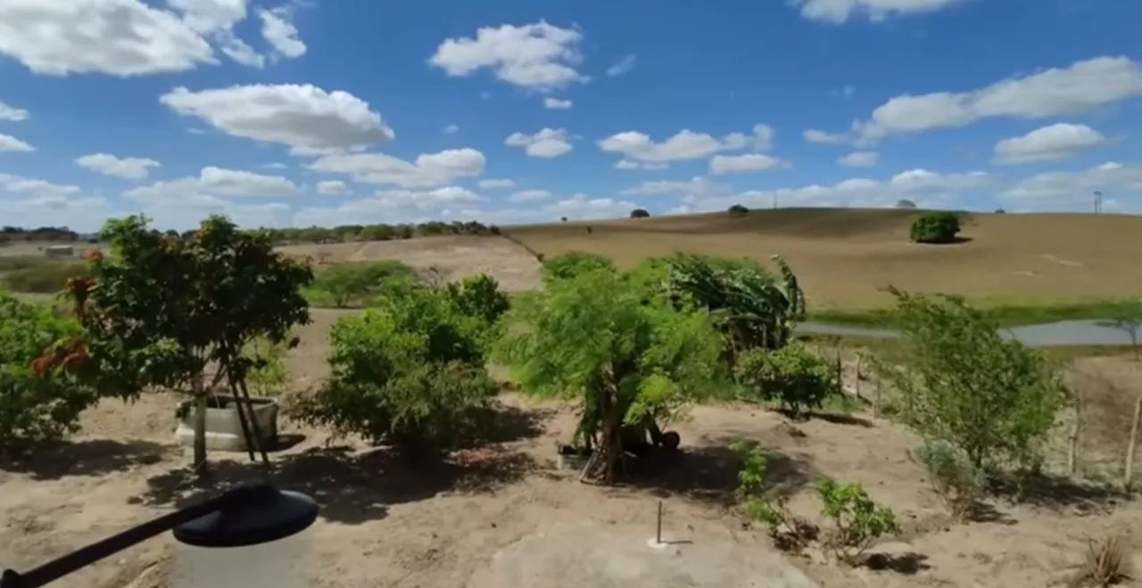 Vendo Sítio de porteira fechada c/Casa, Pomar, Nascente e Área Verde. - Foto 3