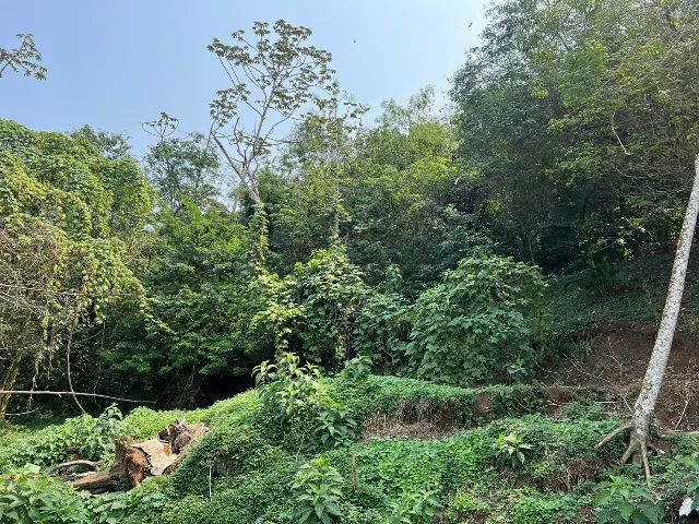Ótima Oferta: Terreno Amplo Próximo à Natureza 6532 m2 - Foto 2