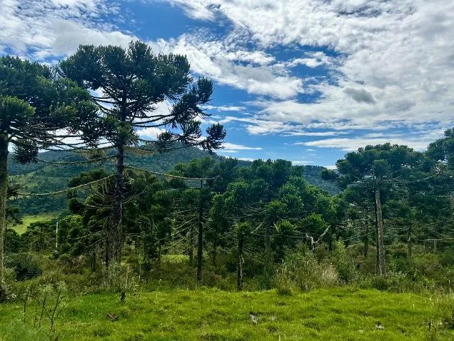 Chácara em Bom Sucesso - Foto 4