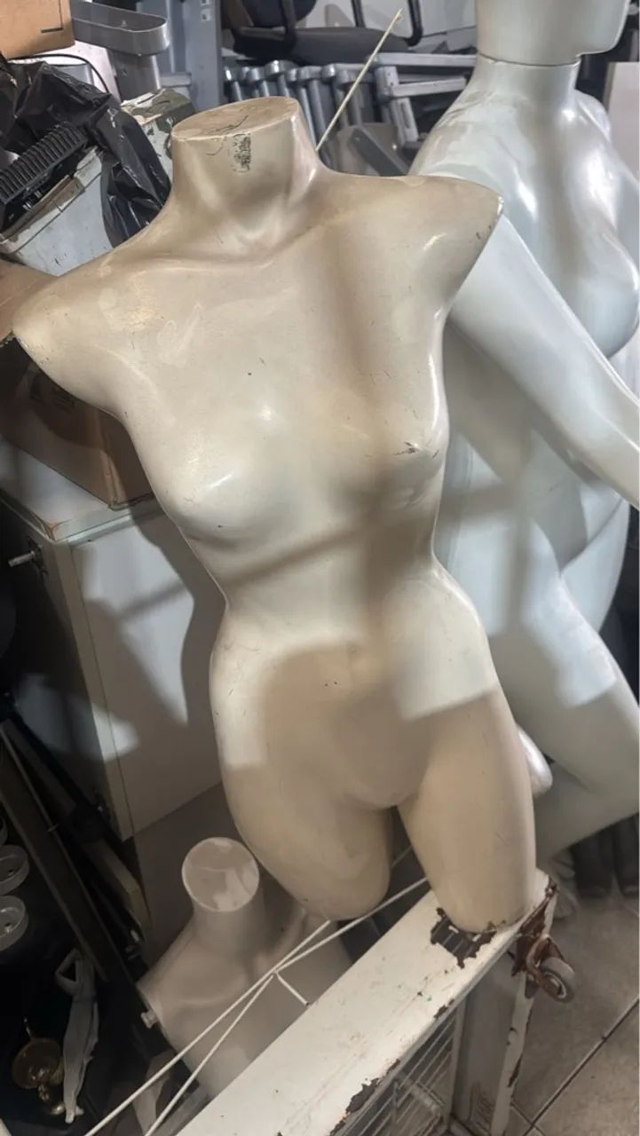 Lote de Manequis - Foto 5