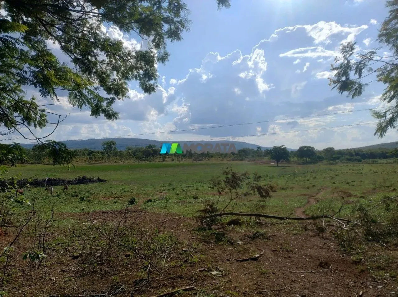FAZENDA À VENDA - 300 HECTARES - FELIXLANDIA (MG)