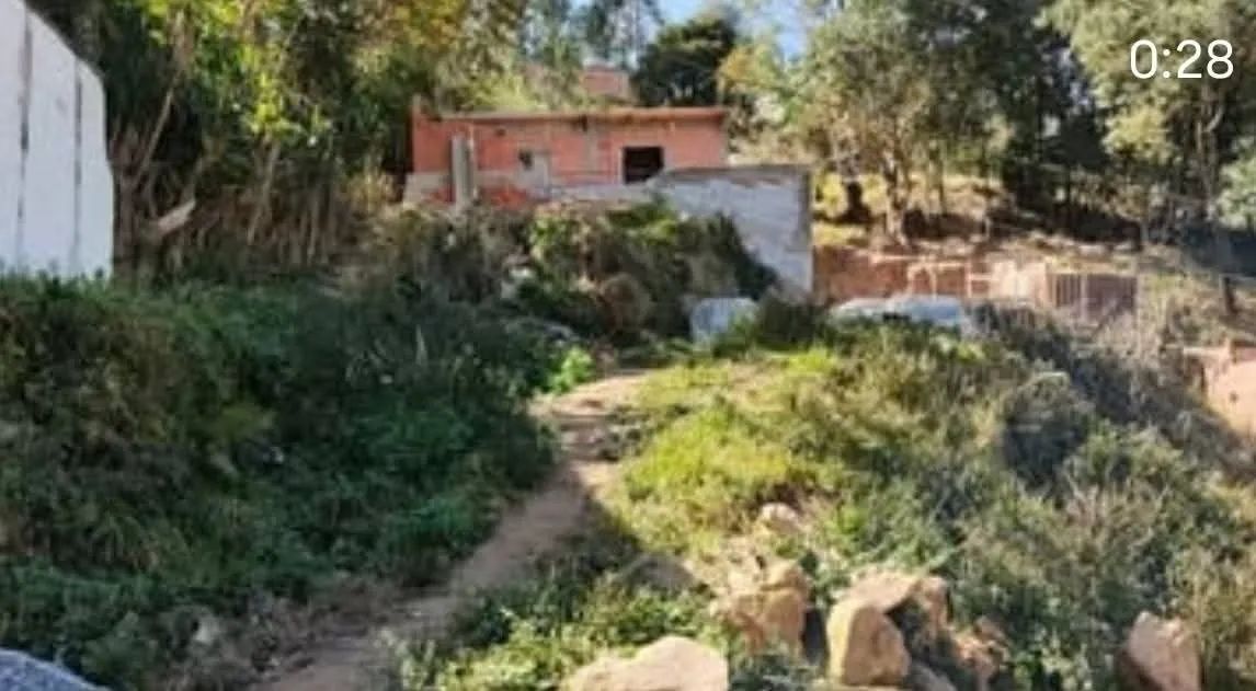 Foto - Francisco Morato - Jardim Alegria