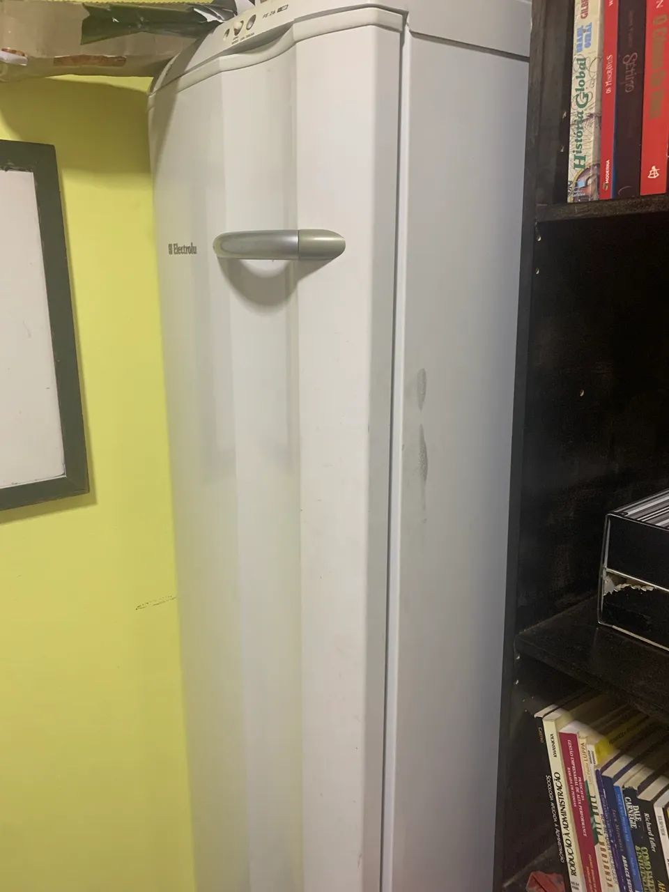 FREZZER ELECTROLUX VERTICAL FE26 - USADA
