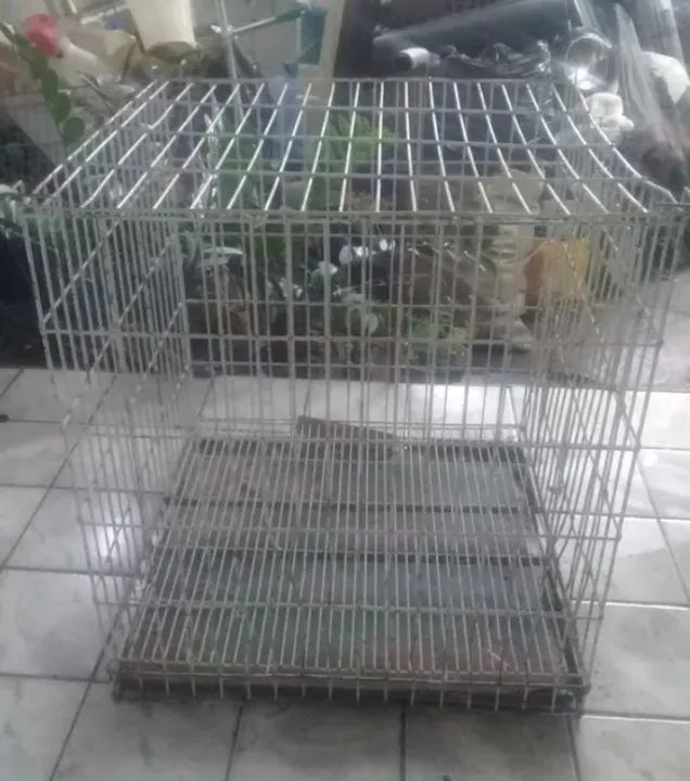 Canil Gaiola para Pets