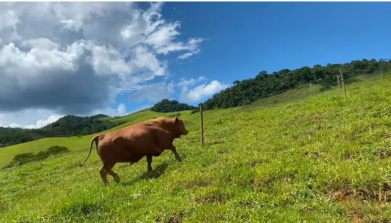 TOURO SENEPOL PO REGISTRADO WSENEPOL - Foto 2