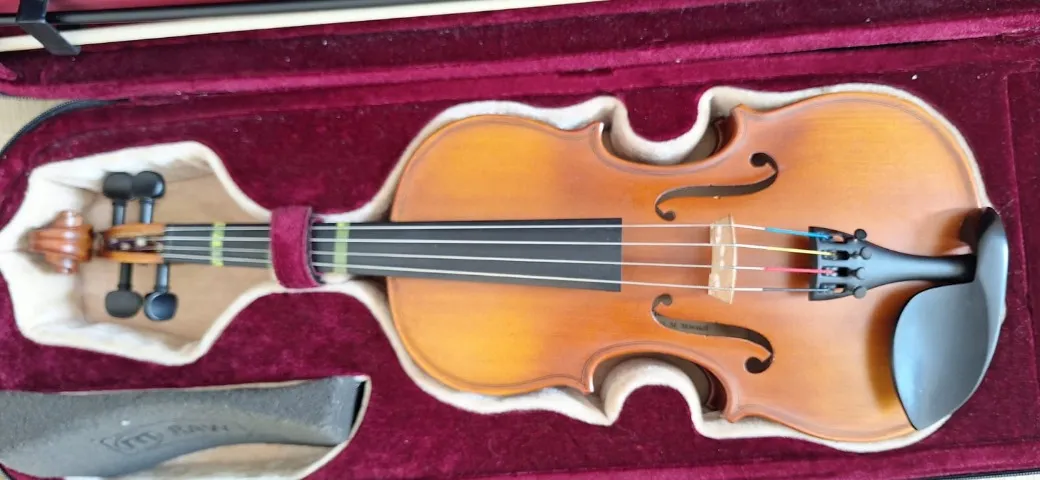 Viola clássica importada número 36