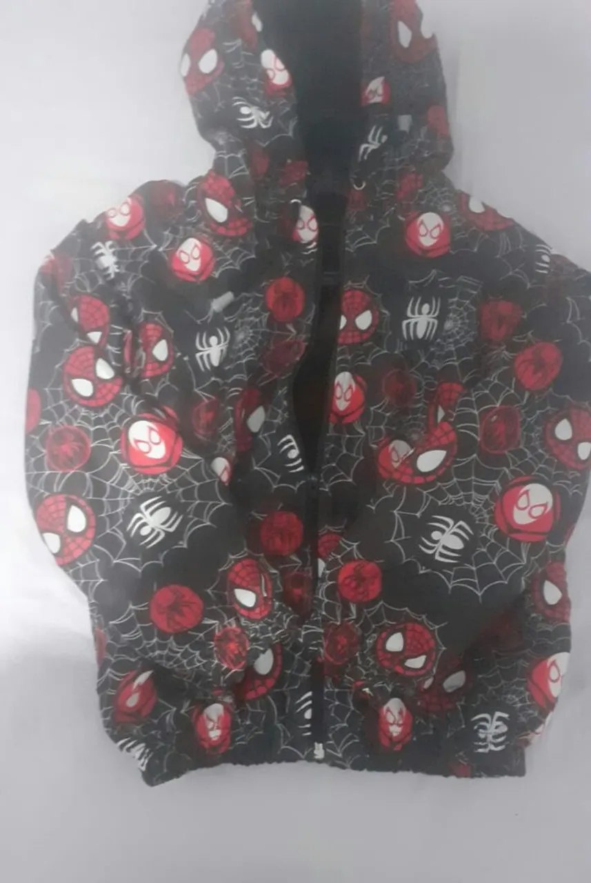 Moletom Infantil Homem Aranha Lãn pura