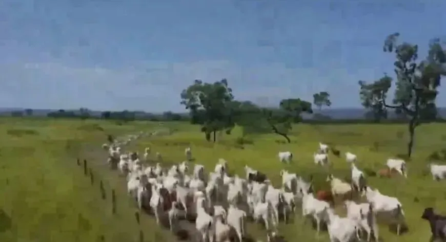 Fazenda à venda no bairro Centro - Arraias/TO