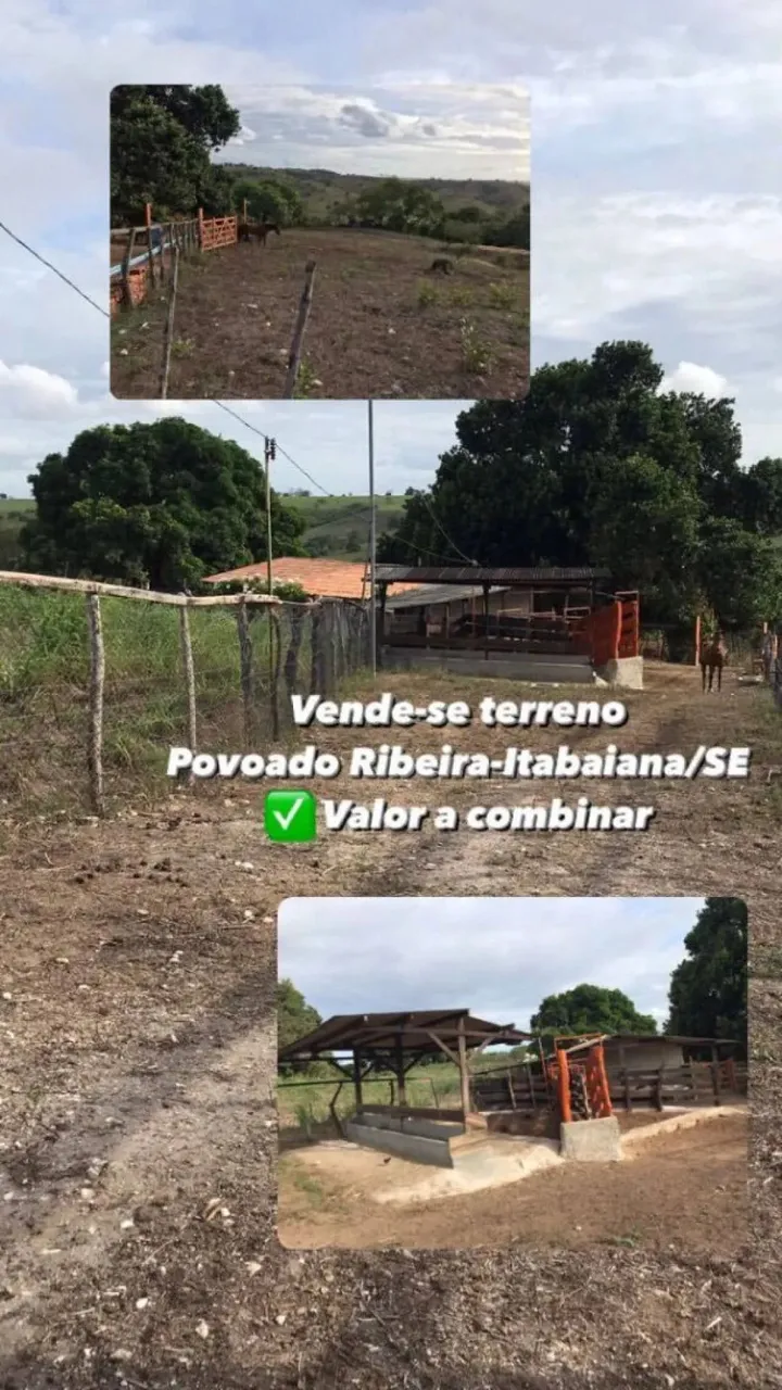 Tarefas a venda - Povoado Ribeira