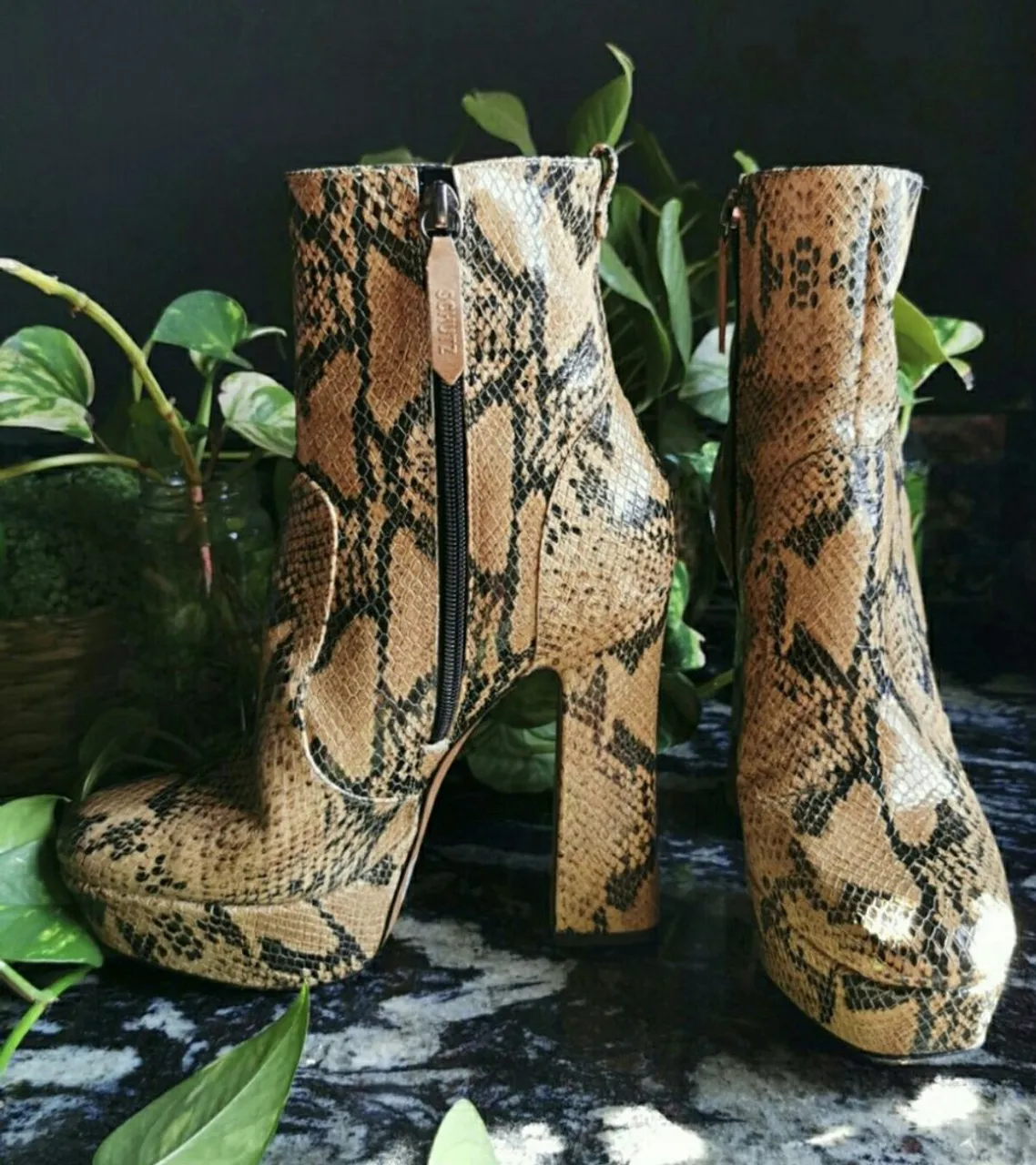 Bota de salto Snake Print Schutz