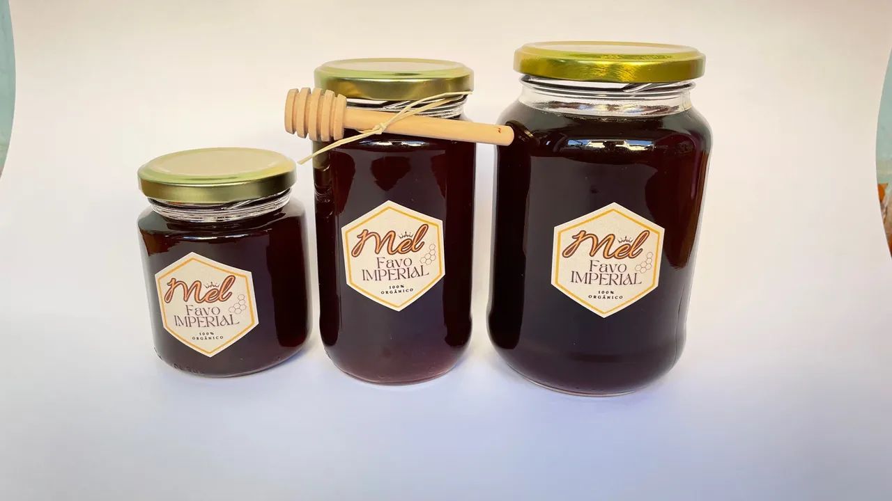 Mel puro de Abelha - 100% Natural - Foto 3